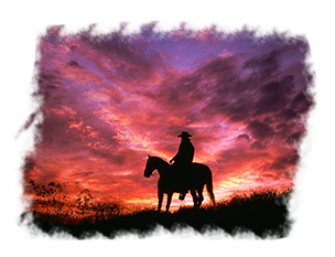 comitiva-boiadeiro03