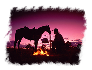 comitiva-boiadeiro05