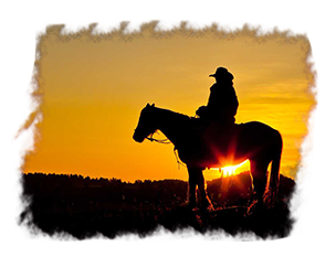 comitiva-boiadeiro06