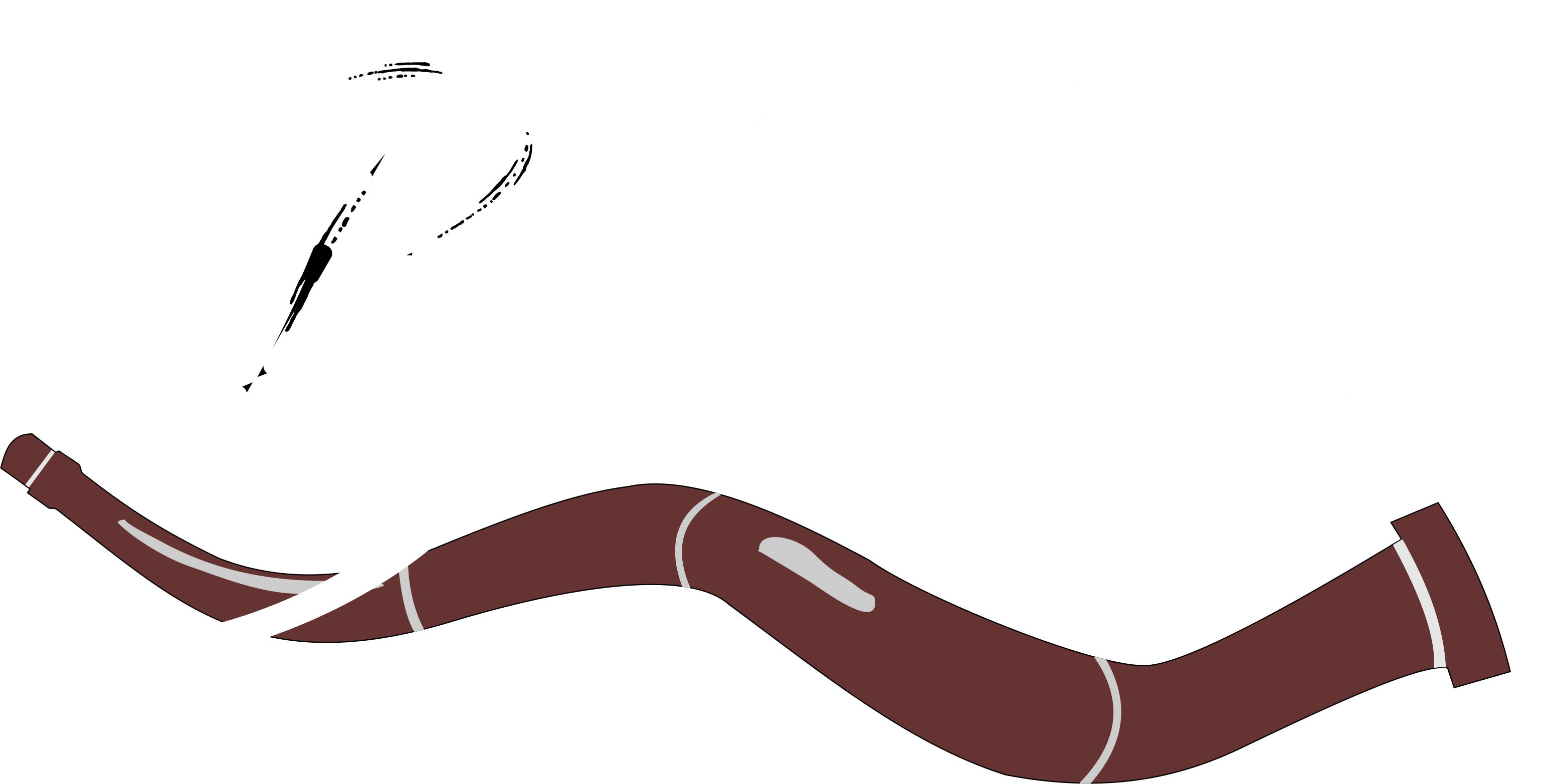 logo comitiva de boiadeiro - 2