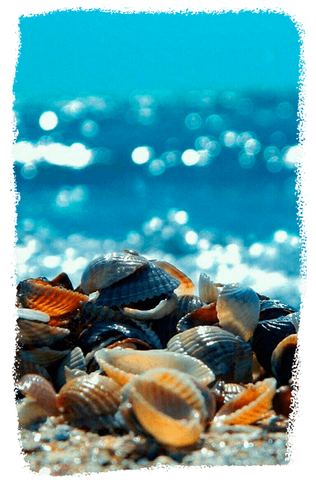 imagens-pag-de-vendas-4