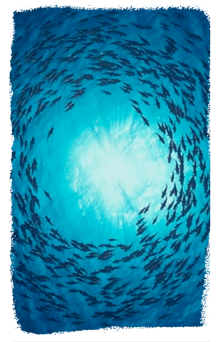 imagens-pag-de-vendas-7