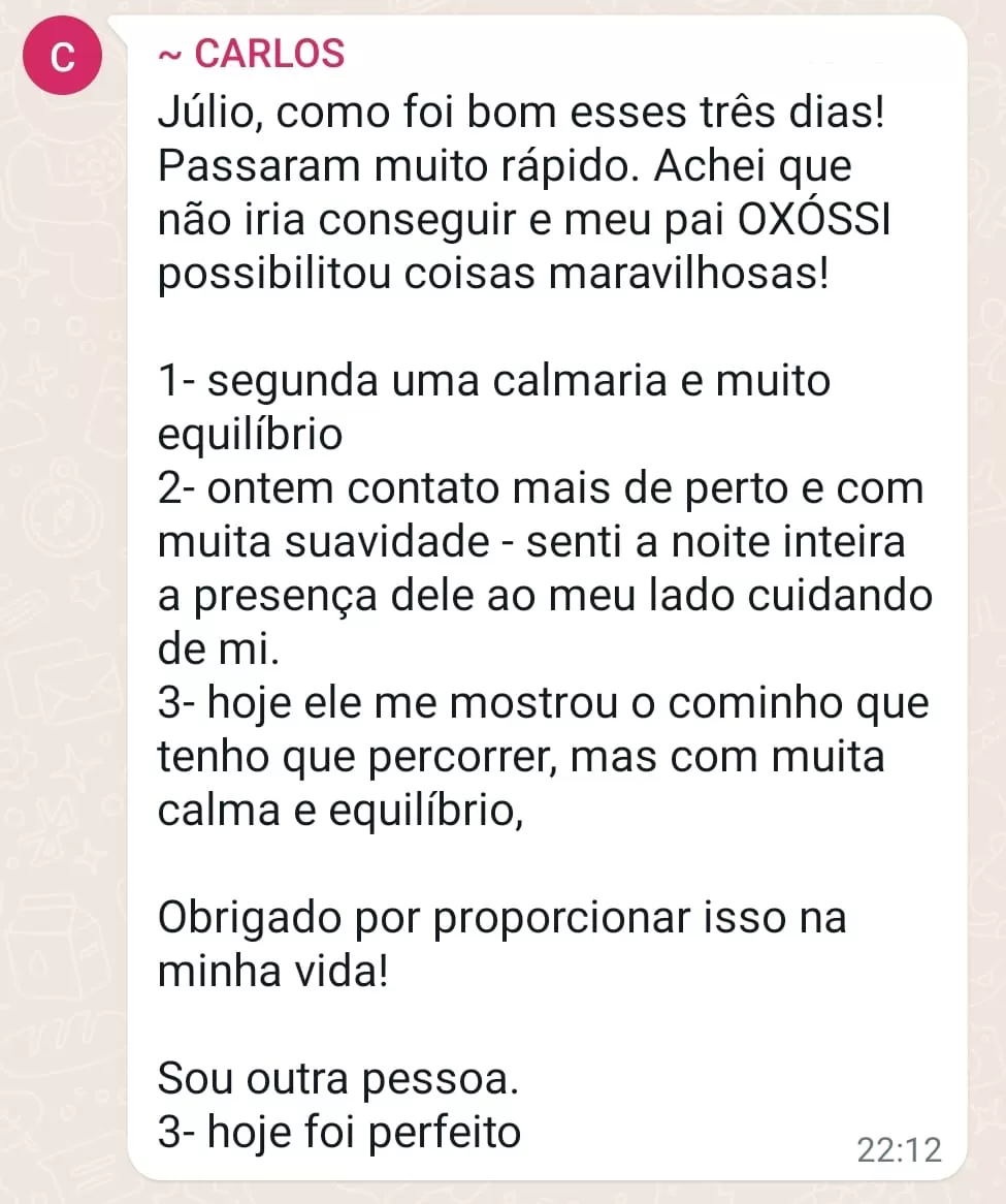 Depoimento Imersao Oxossi (5)