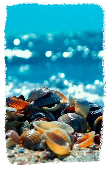 imagens-pag-de-vendas-4