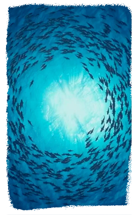 imagens-pag-de-vendas-7